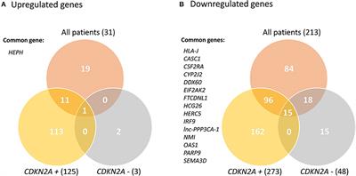 DNA Repair and Immune Response Pathways Are Deregulated in Melanocyte-Keratinocyte Co-cultures Derived From the Healthy Skin of Familial Melanoma Patients